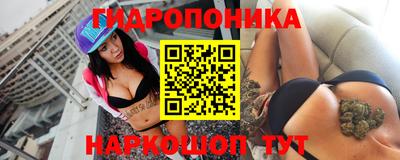 наркотики Камышлов