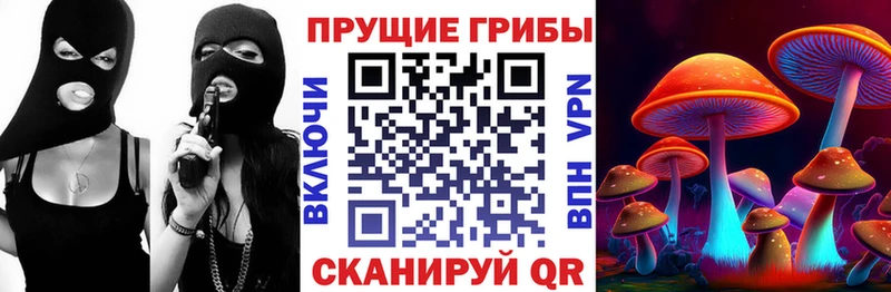 Галлюциногенные грибы мухоморы продажа наркотиков Зеленодольск