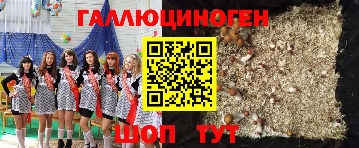 купить закладку  Вход с VPN  Зеленодольск  Галлюциногенные грибы мицелий 